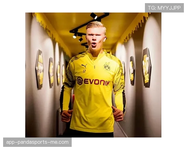 桑乔与哈兰德在德甲时期角色分化及进攻结构偏移趋势