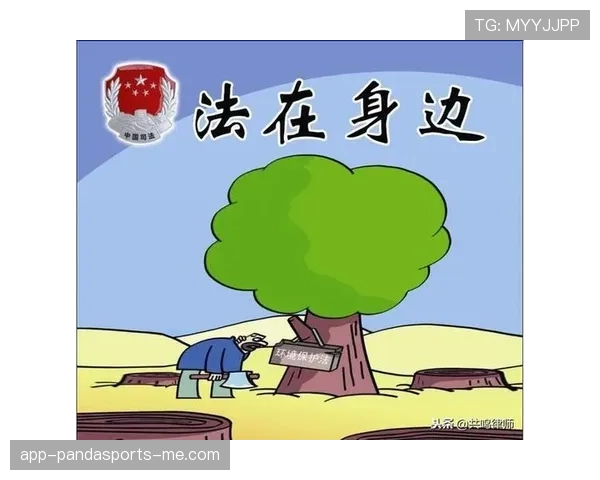 比赛申诉的规则流程与裁判判罚复议标准解析